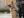 All About Security Guard Dogs