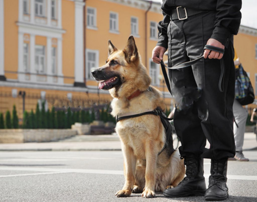 Guard Dog Security Services Titan Security Europe