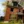 vacant property